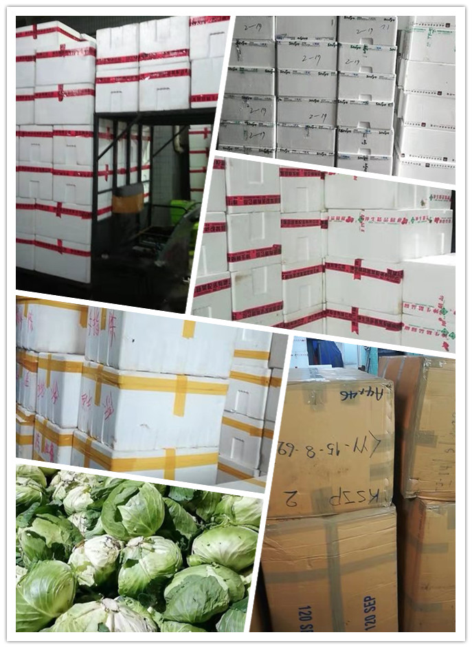 AG真人国际(中国) - 官方网站