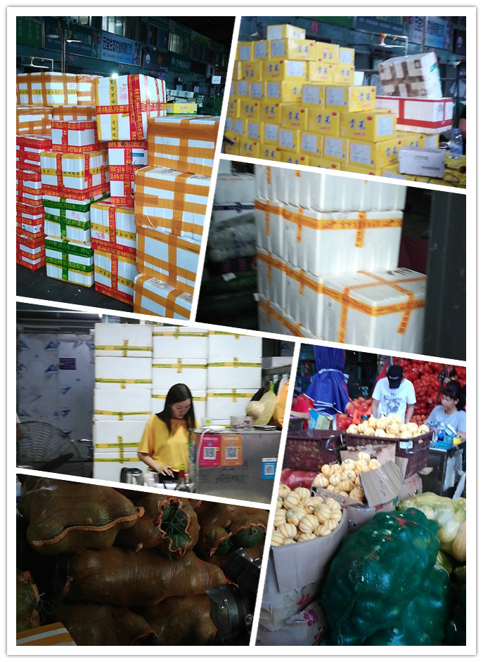 AG真人国际(中国) - 官方网站