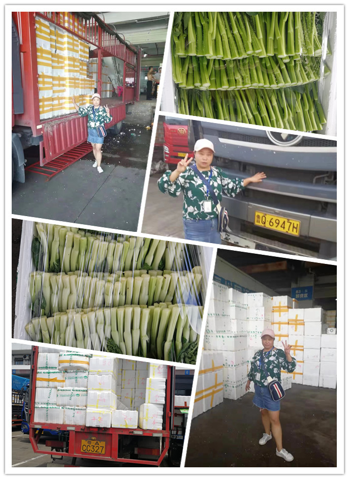 AG真人国际(中国) - 官方网站