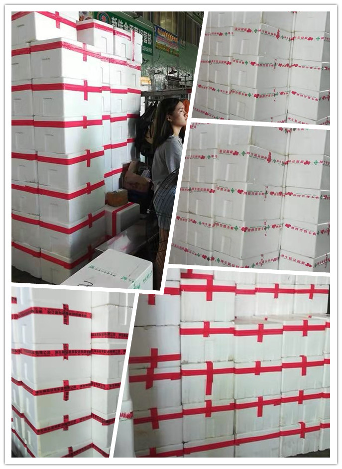 AG真人国际(中国) - 官方网站