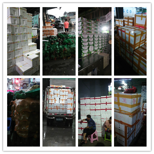 AG真人国际(中国) - 官方网站