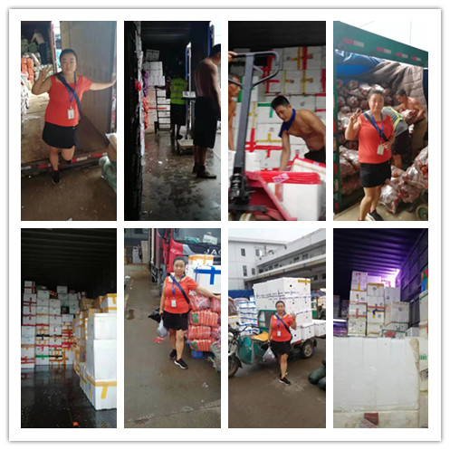 AG真人国际(中国) - 官方网站