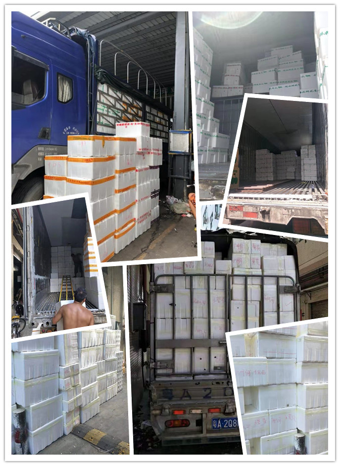 AG真人国际(中国) - 官方网站