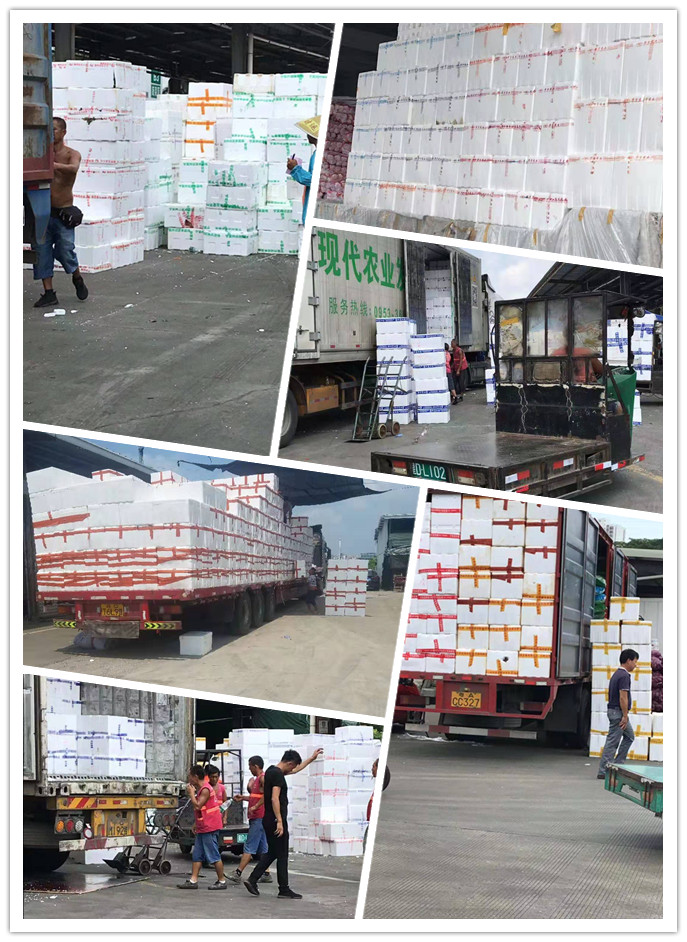 AG真人国际(中国) - 官方网站