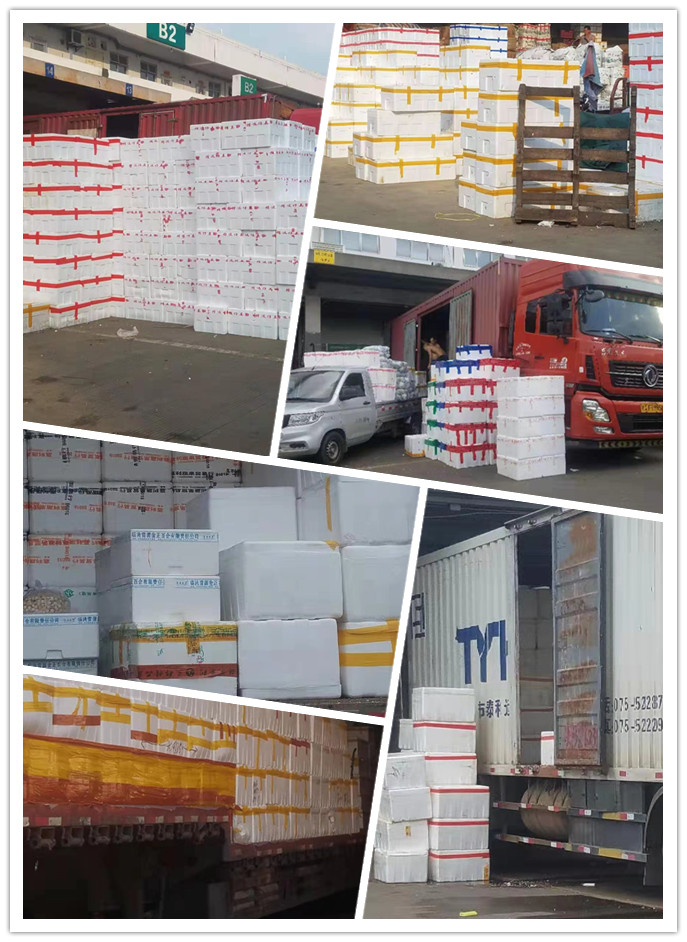 AG真人国际(中国) - 官方网站