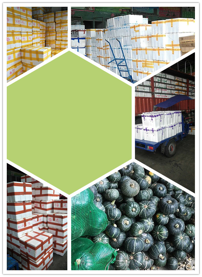 AG真人国际(中国) - 官方网站