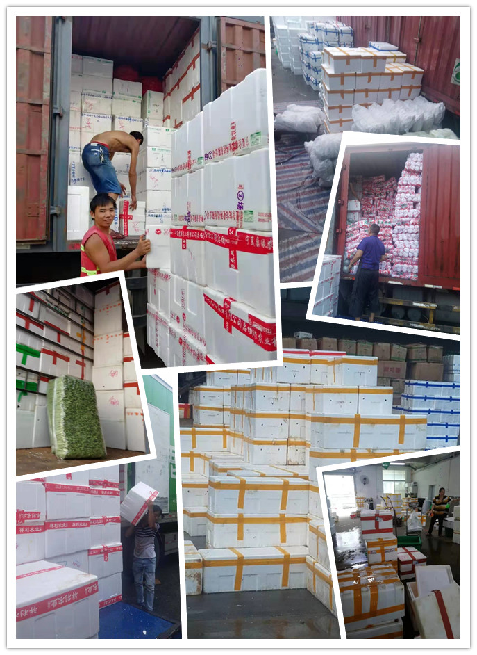 AG真人国际(中国) - 官方网站