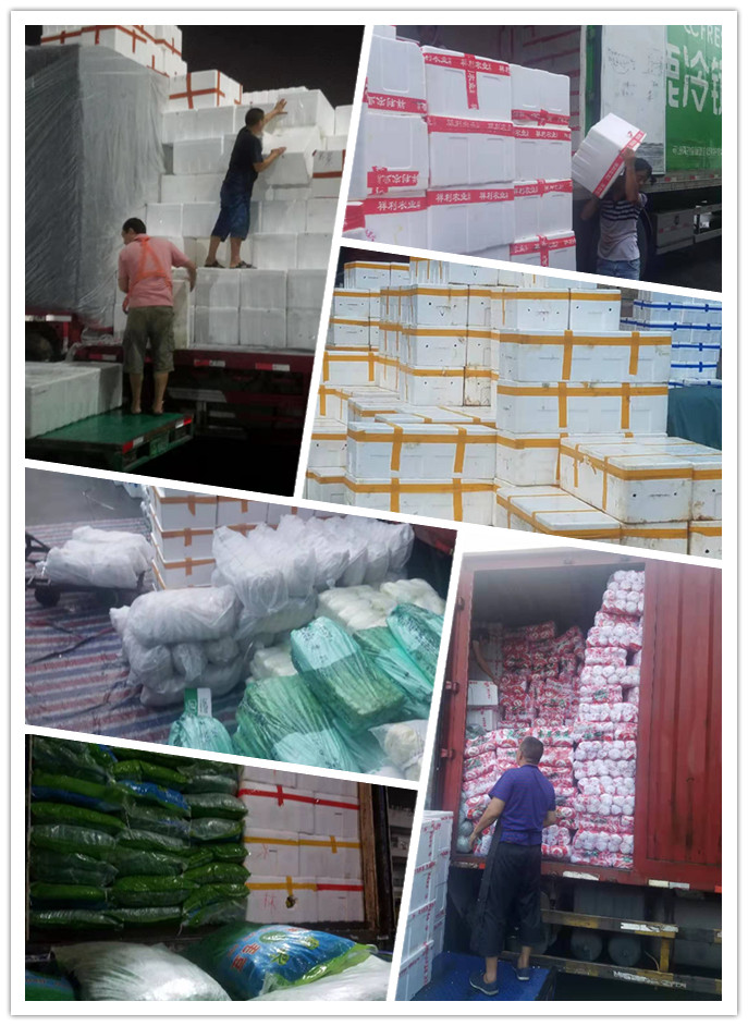 AG真人国际(中国) - 官方网站