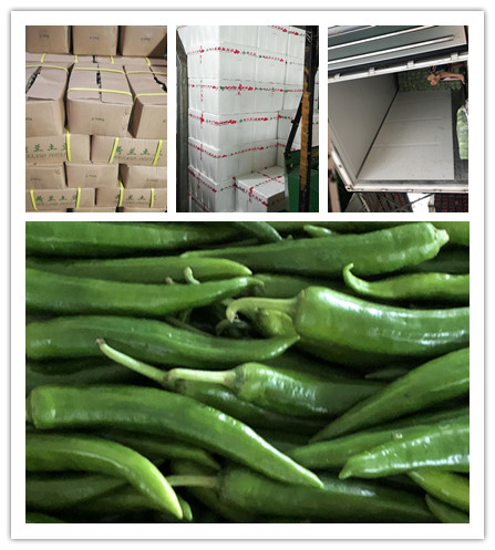 AG真人国际(中国) - 官方网站