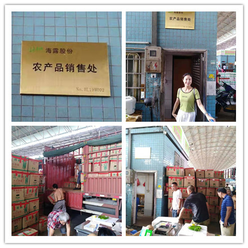 AG真人国际(中国) - 官方网站