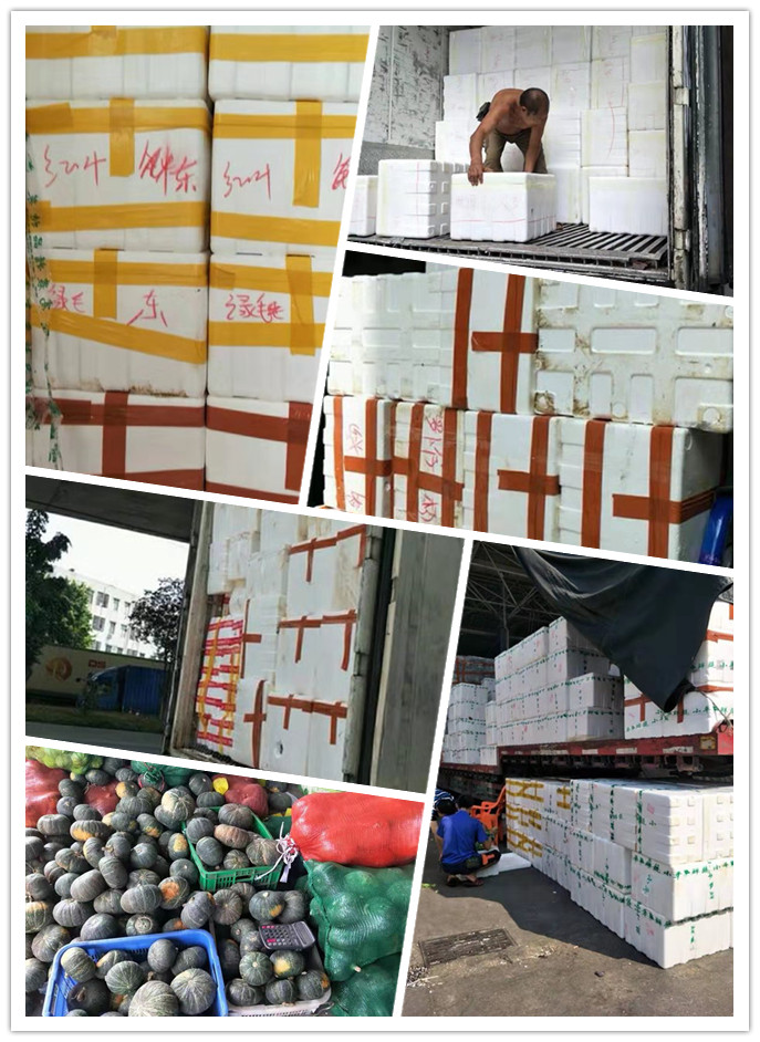 AG真人国际(中国) - 官方网站