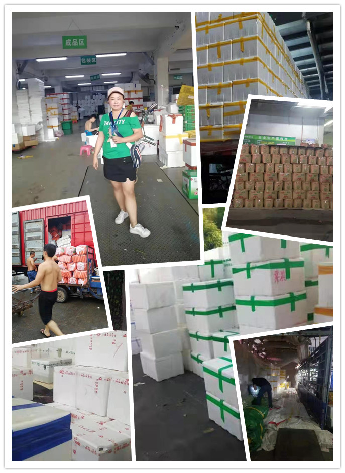 AG真人国际(中国) - 官方网站