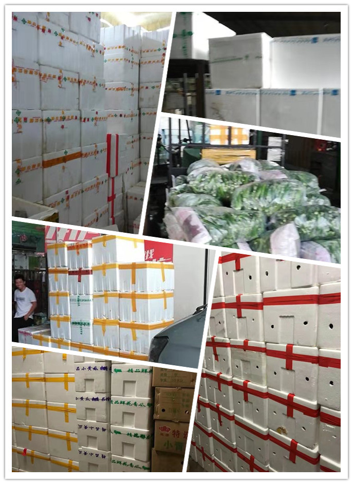 AG真人国际(中国) - 官方网站