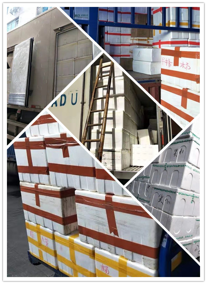 AG真人国际(中国) - 官方网站