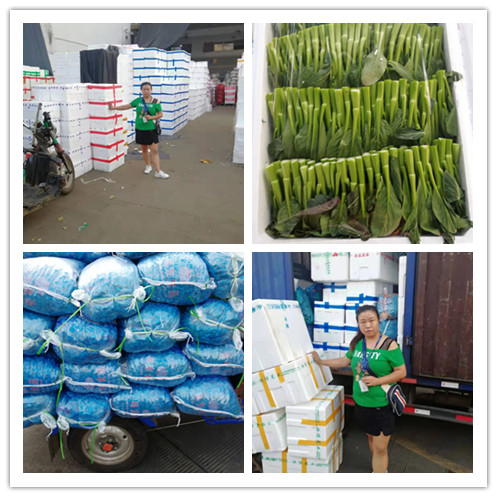 AG真人国际(中国) - 官方网站