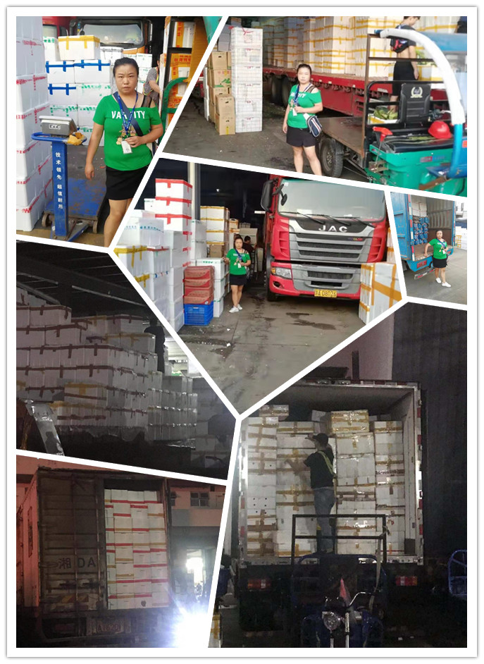 AG真人国际(中国) - 官方网站