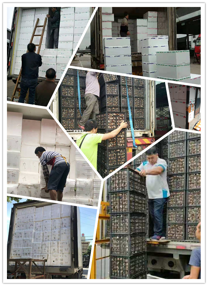 AG真人国际(中国) - 官方网站