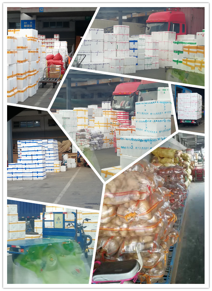 AG真人国际(中国) - 官方网站