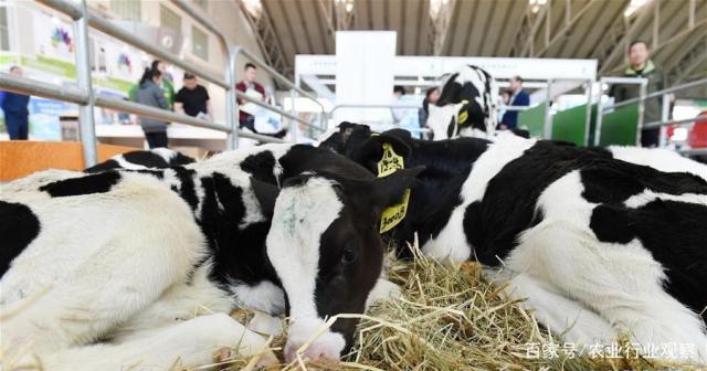 AG真人国际(中国) - 官方网站