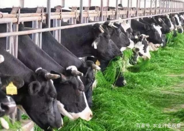 AG真人国际(中国) - 官方网站