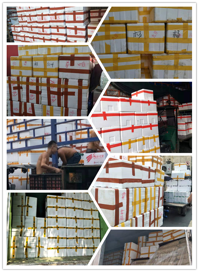 AG真人国际(中国) - 官方网站