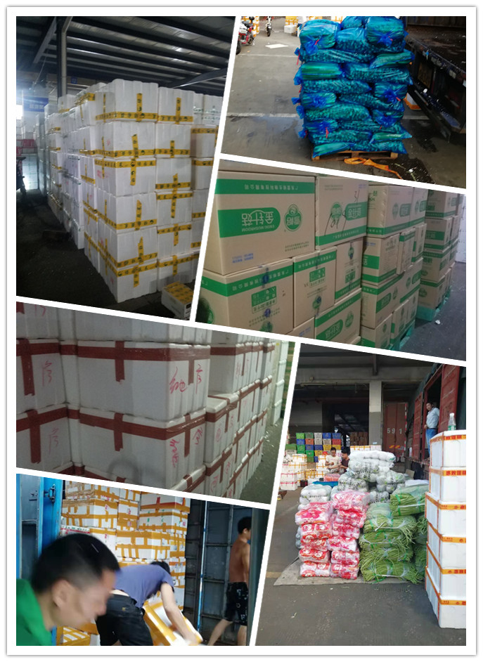 AG真人国际(中国) - 官方网站