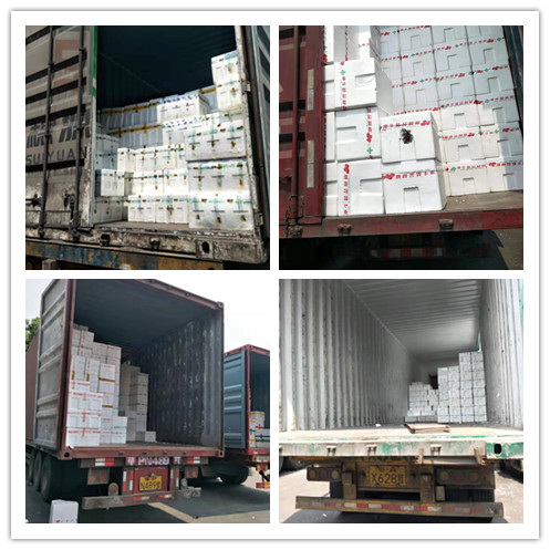 AG真人国际(中国) - 官方网站