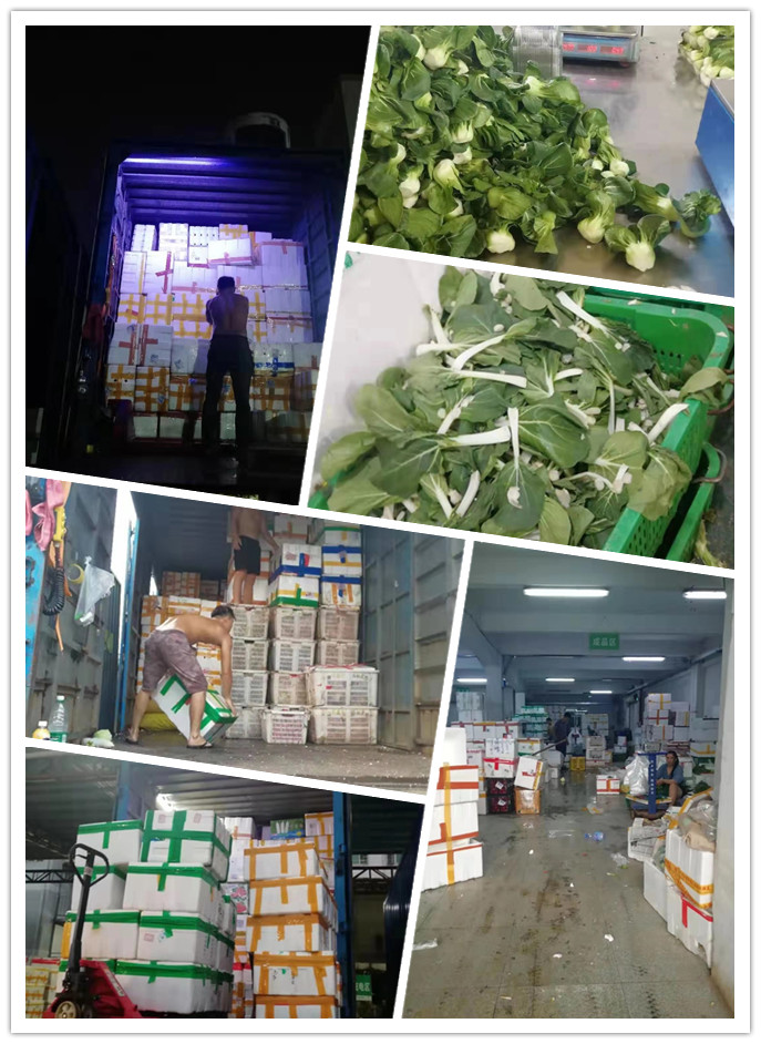 AG真人国际(中国) - 官方网站