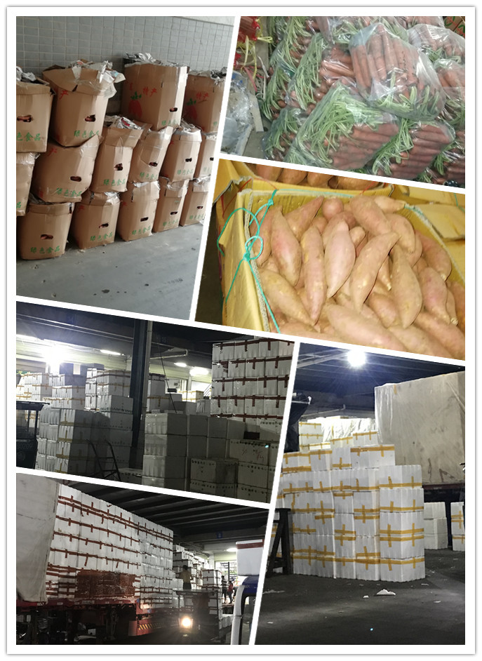 AG真人国际(中国) - 官方网站