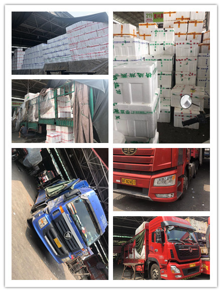 AG真人国际(中国) - 官方网站