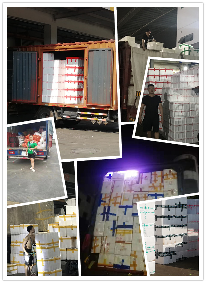 AG真人国际(中国) - 官方网站