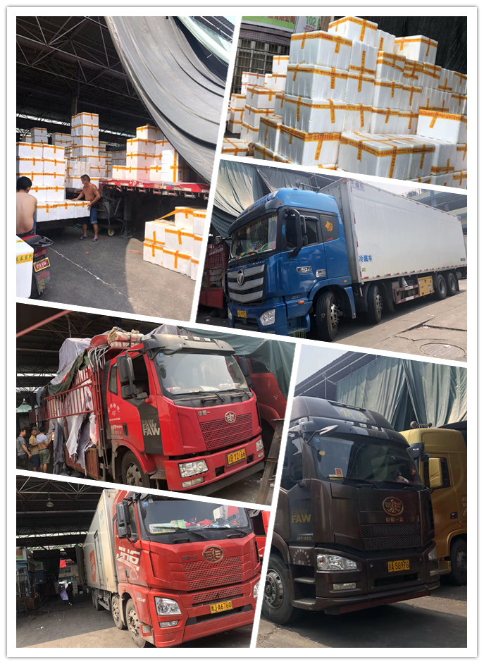 AG真人国际(中国) - 官方网站