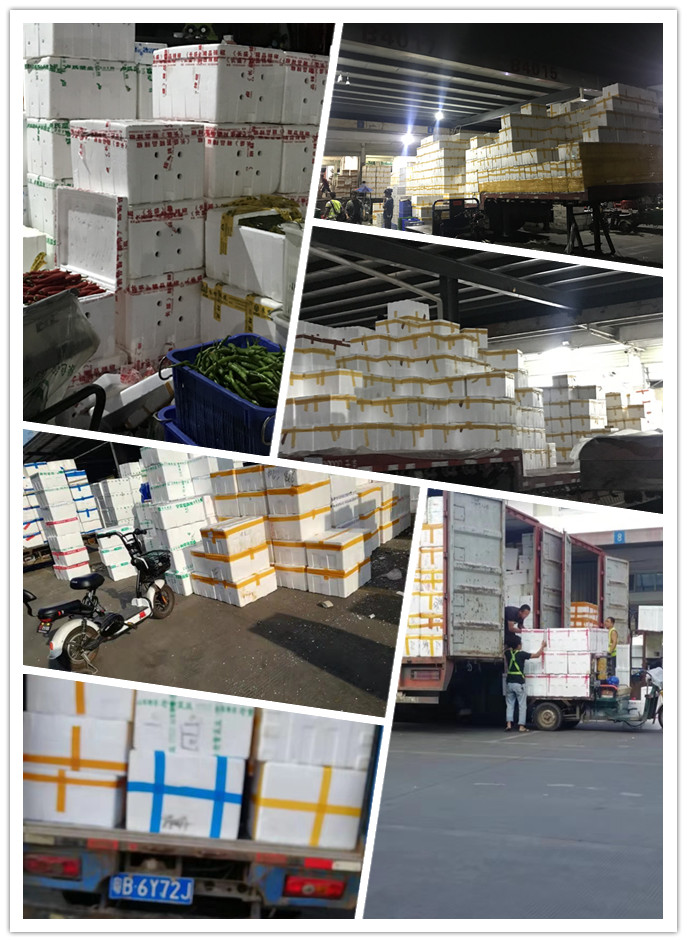 AG真人国际(中国) - 官方网站