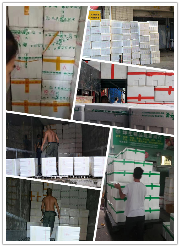 AG真人国际(中国) - 官方网站