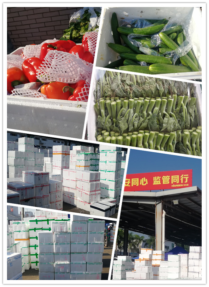 AG真人国际(中国) - 官方网站