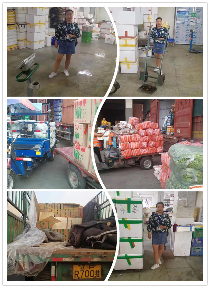 AG真人国际(中国) - 官方网站