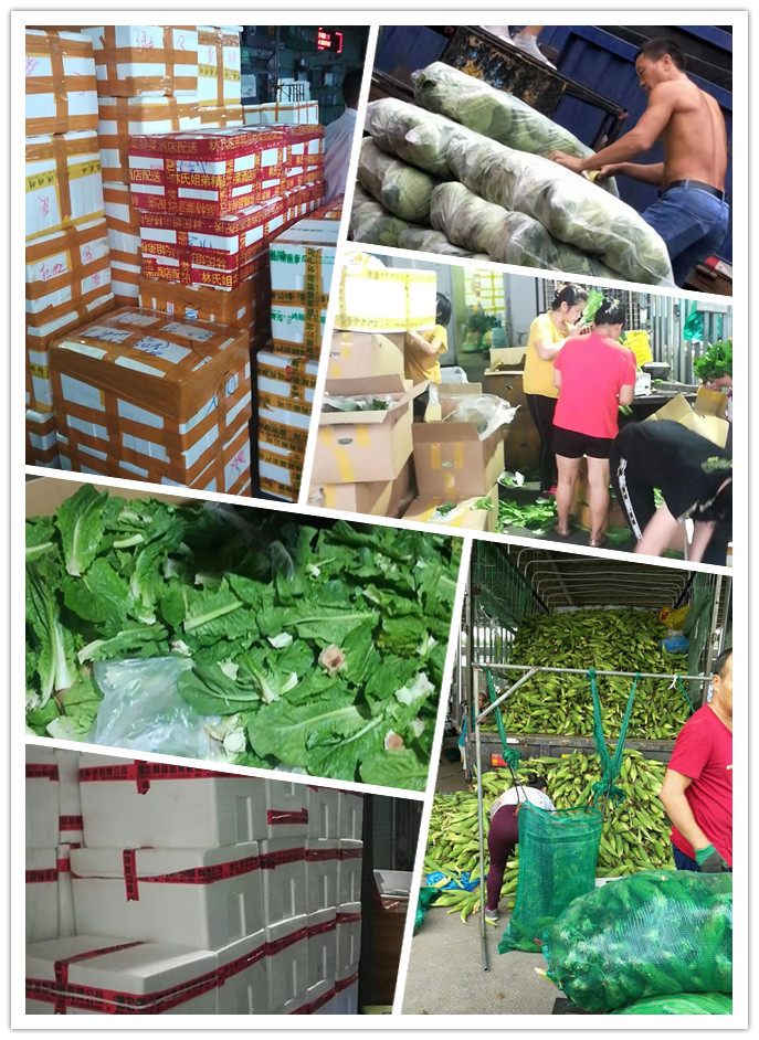 AG真人国际(中国) - 官方网站