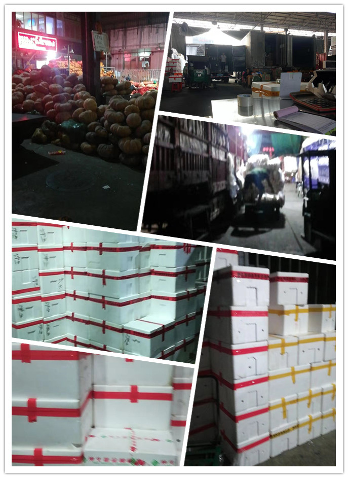 AG真人国际(中国) - 官方网站