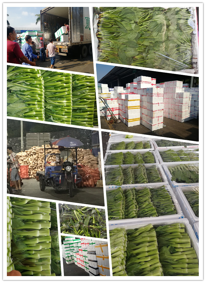 AG真人国际(中国) - 官方网站