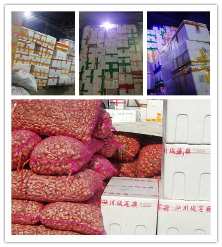 AG真人国际(中国) - 官方网站