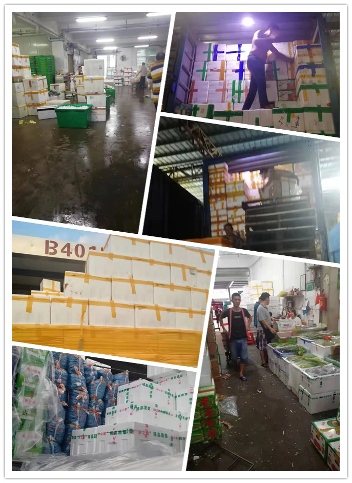 AG真人国际(中国) - 官方网站