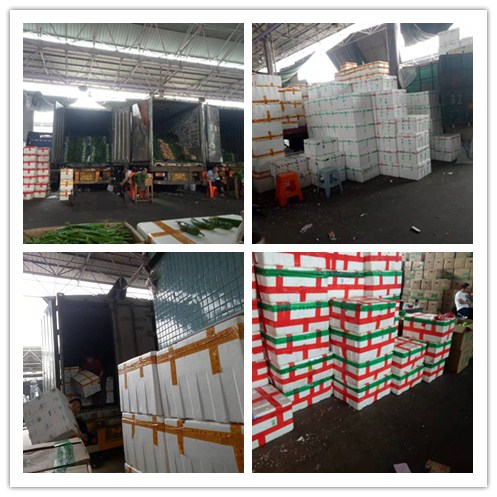 AG真人国际(中国) - 官方网站