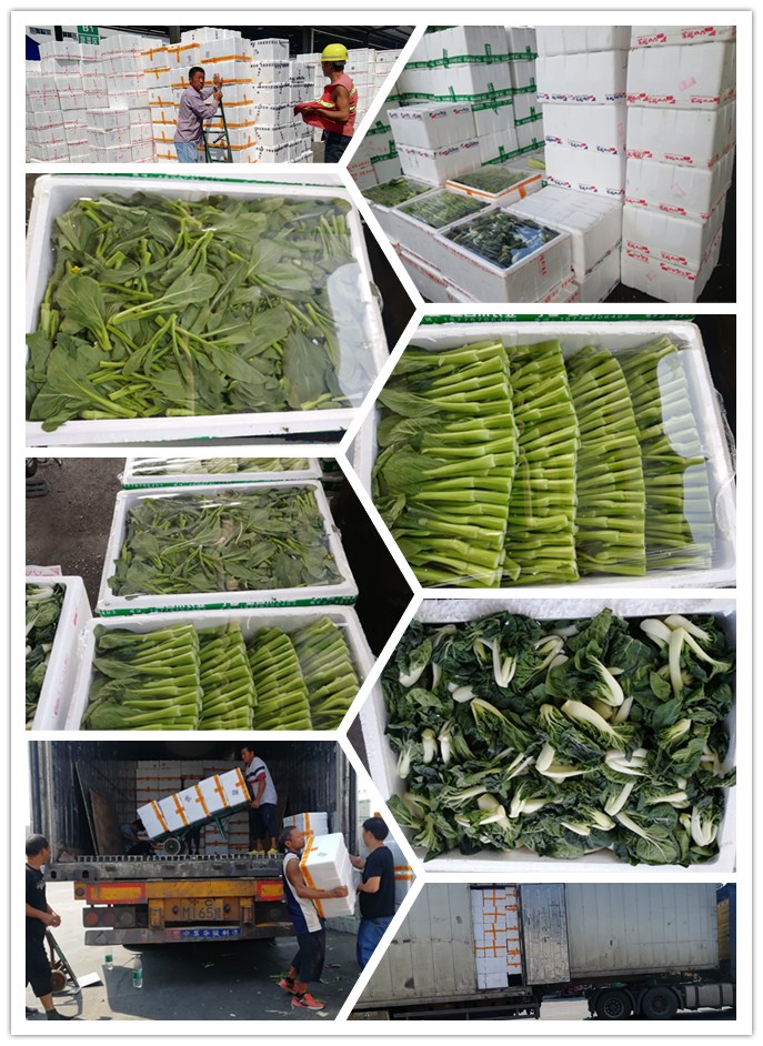 AG真人国际(中国) - 官方网站