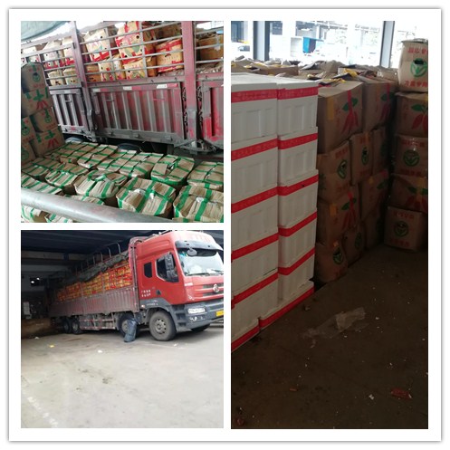 AG真人国际(中国) - 官方网站