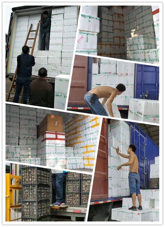 AG真人国际(中国) - 官方网站