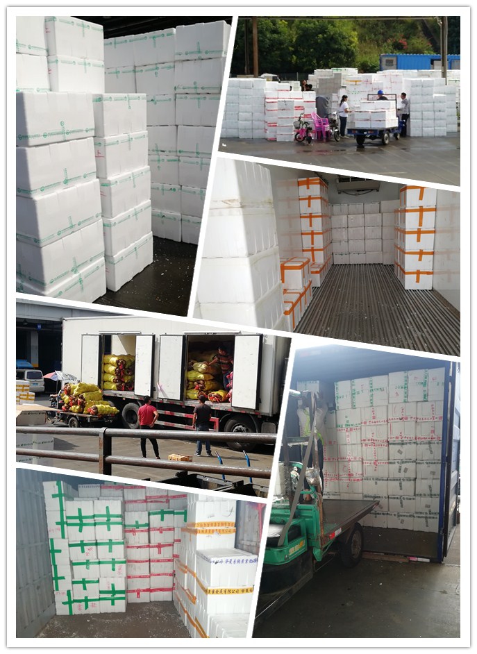 AG真人国际(中国) - 官方网站