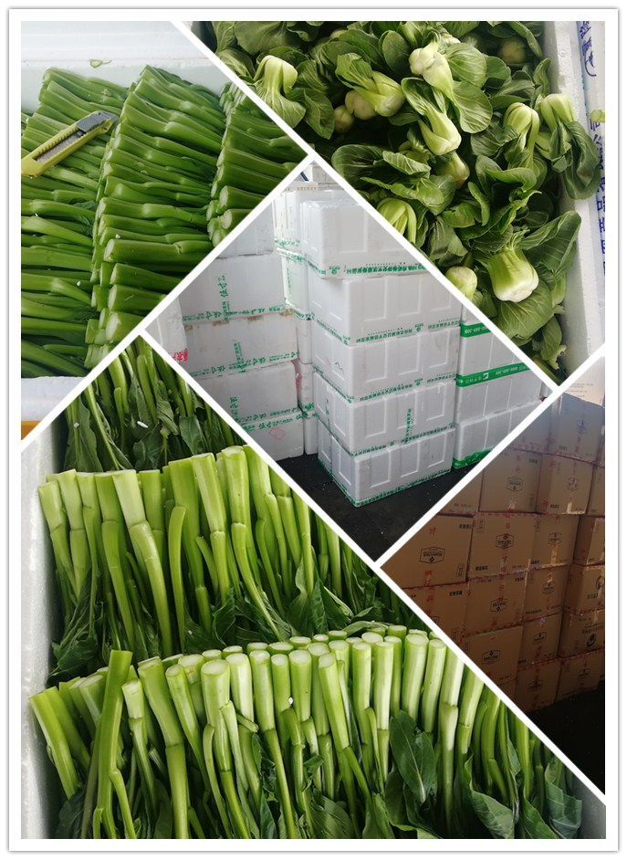 AG真人国际(中国) - 官方网站