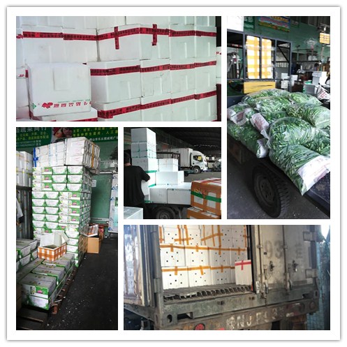 AG真人国际(中国) - 官方网站