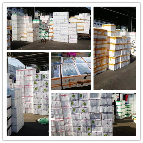 AG真人国际(中国) - 官方网站