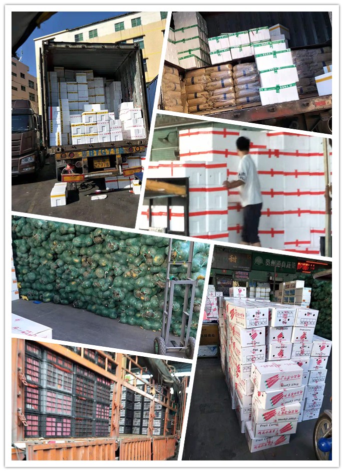 AG真人国际(中国) - 官方网站